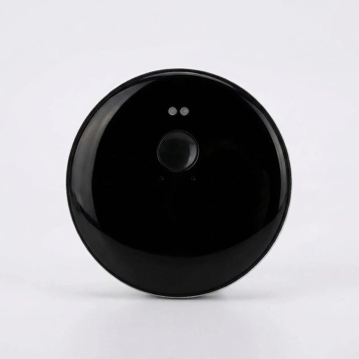 Portable Smart Voice Translator - LingoDisk