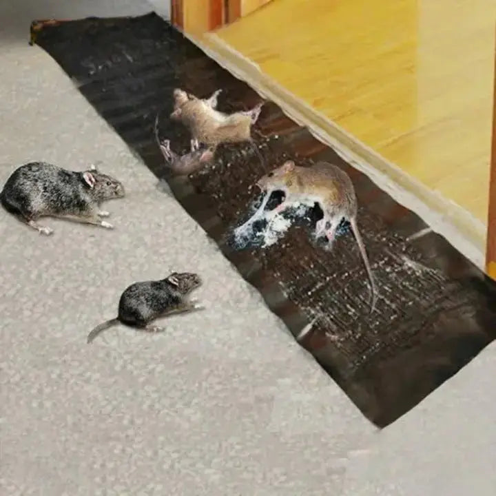 Extra Strong Glue Trap for Rats & Mice – Large Non-Toxic Sticky Mat, Ready to Use 1