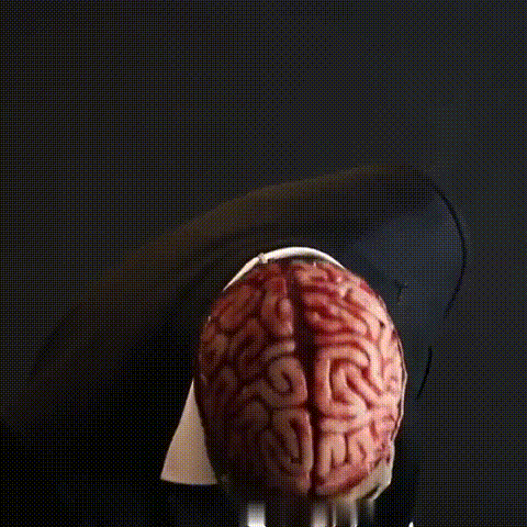 Realistic Skeleton Halloween Mask with Brains for Adults 2