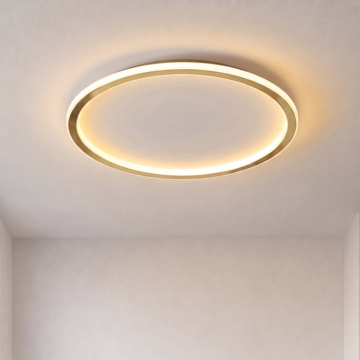 Gold Round LED Ceiling Light with Remote Dimmer 1