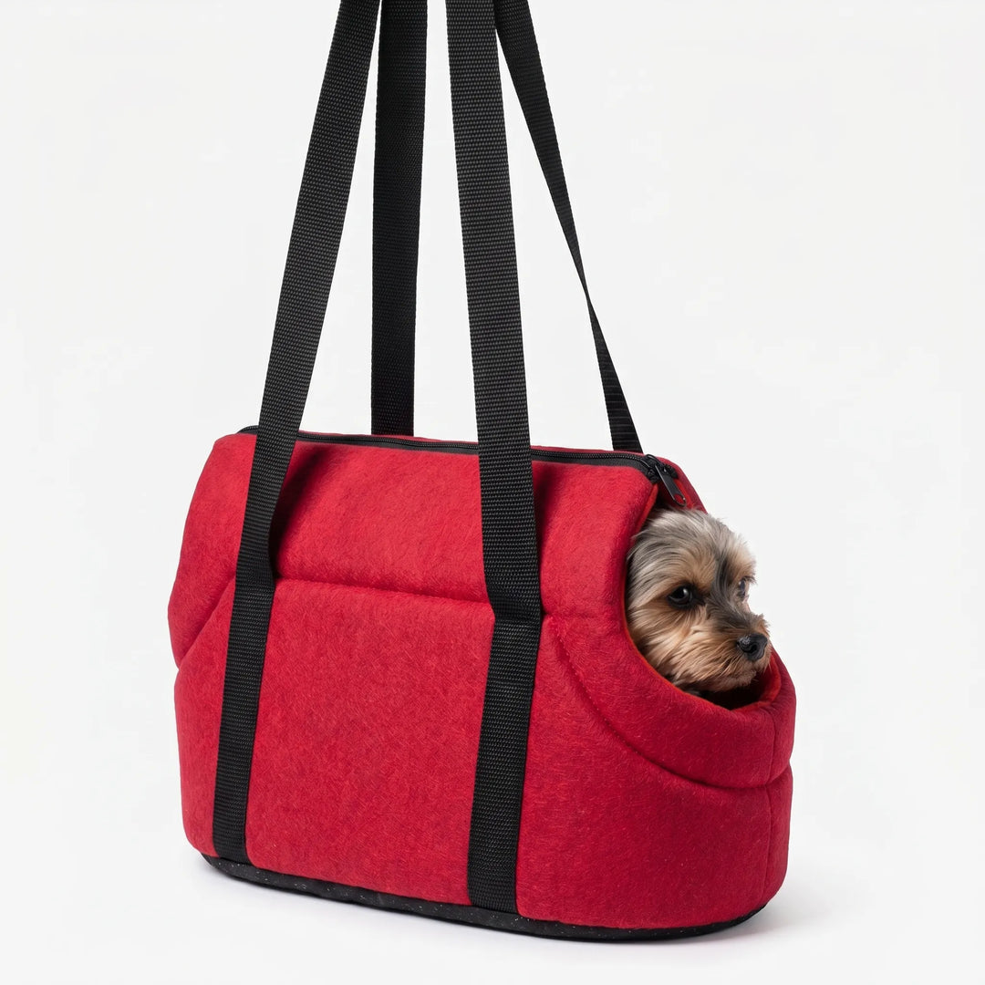 Small Pet Travel Carrier - Pawsport