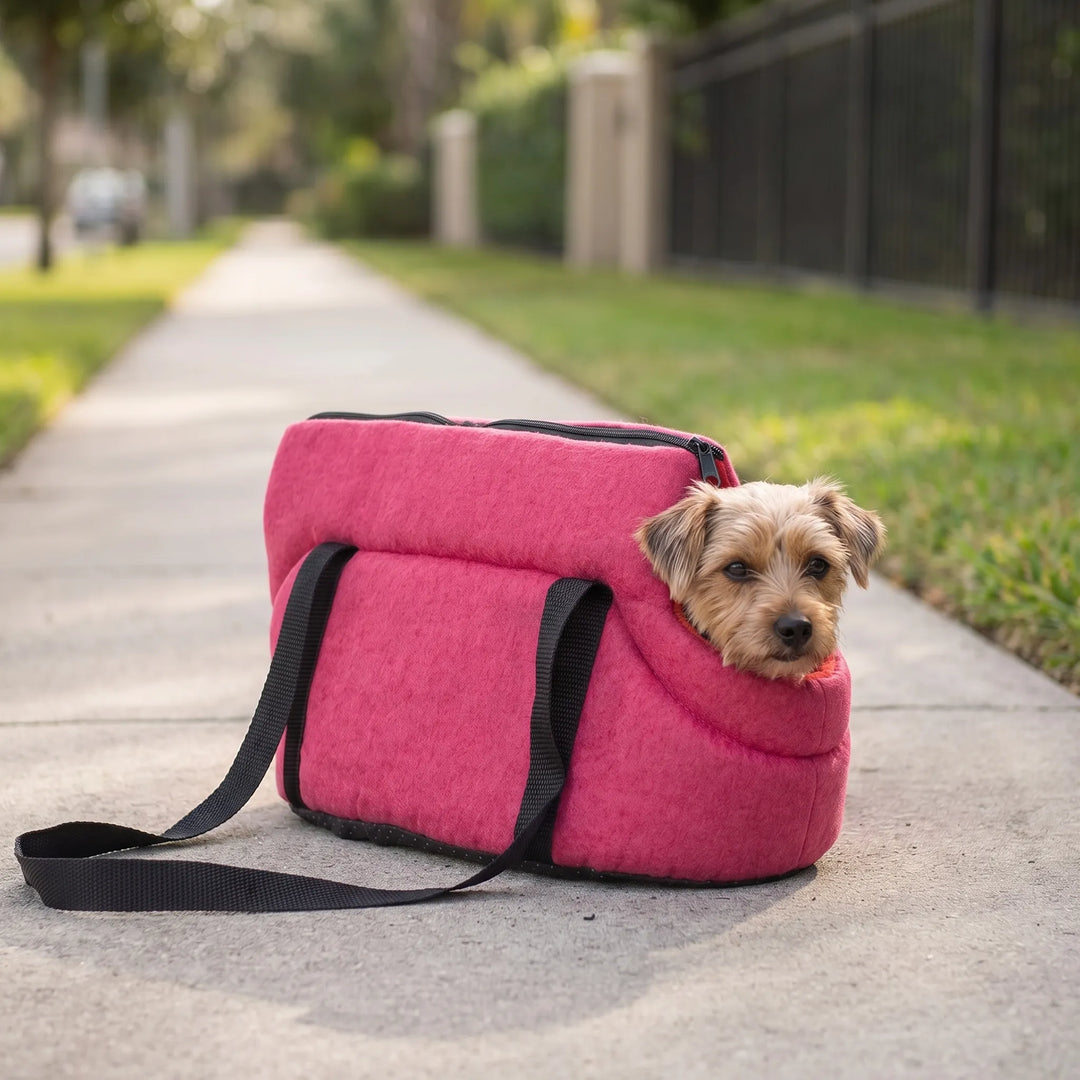 Small Pet Travel Carrier - Pawsport