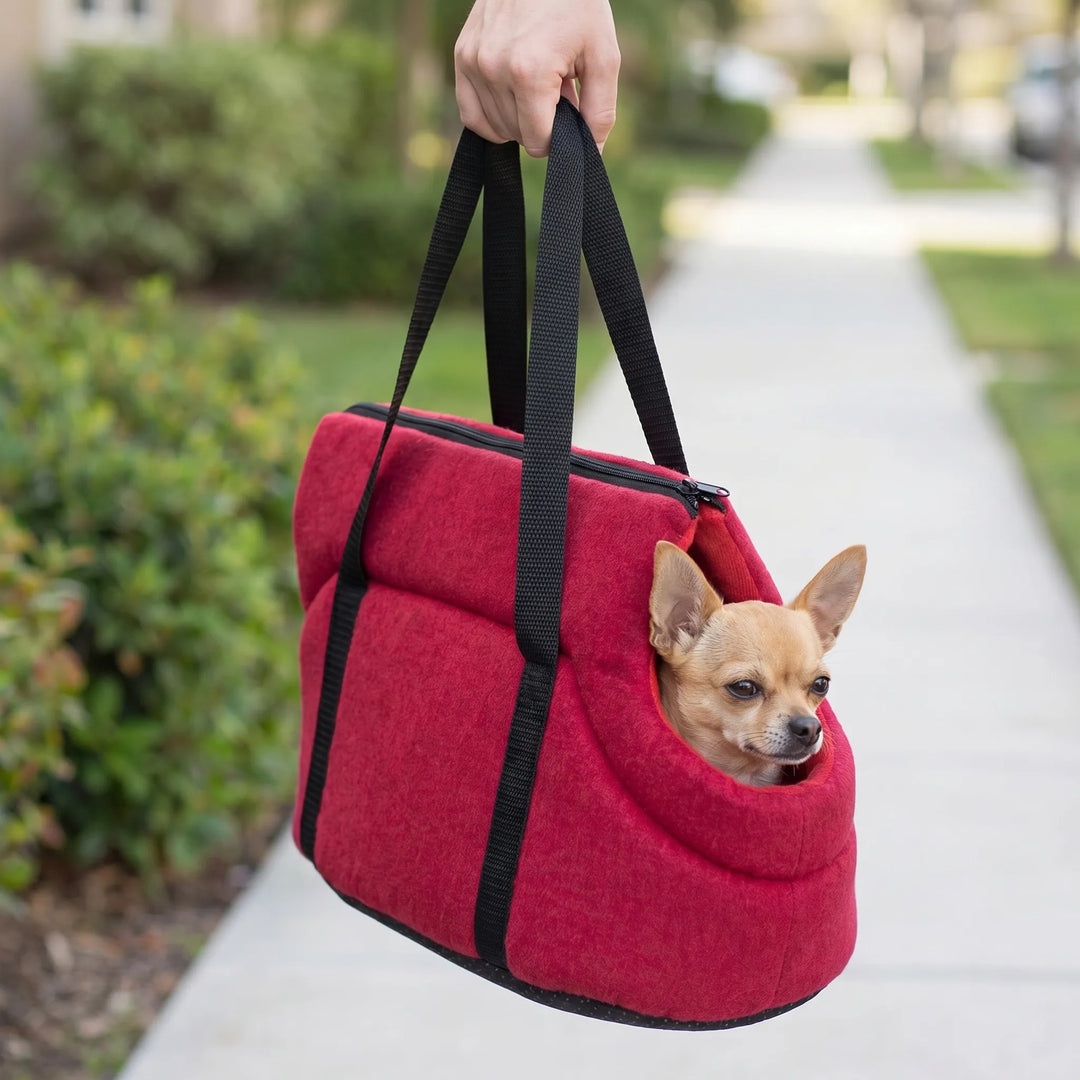 Small Pet Travel Carrier - Pawsport
