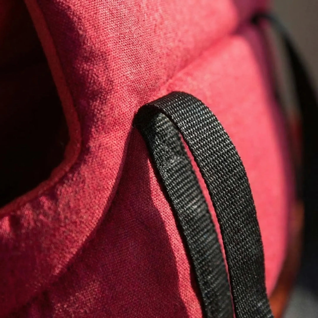 Small Pet Travel Carrier - Pawsport