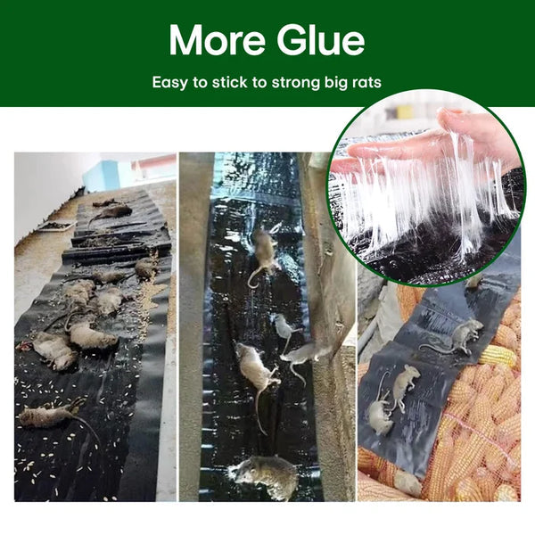 Strong Rat Glue Trap | Extra-Strength Adhesive | Odorless 2