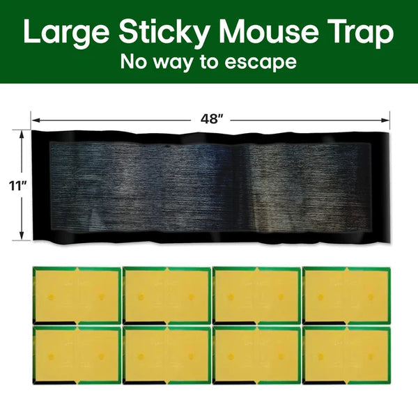 Strong Rat Glue Trap | Extra-Strength Adhesive | Odorless 5