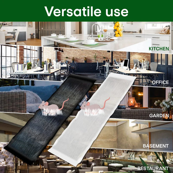 Strong Rat Glue Trap | Extra-Strength Adhesive | Odorless 6