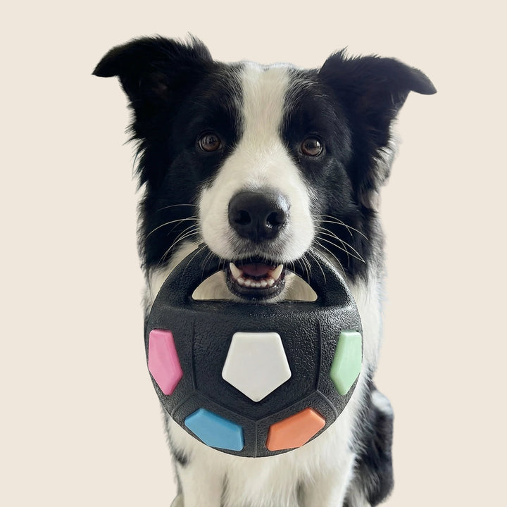 Indestructible Dog Ball for Power Chewers 1