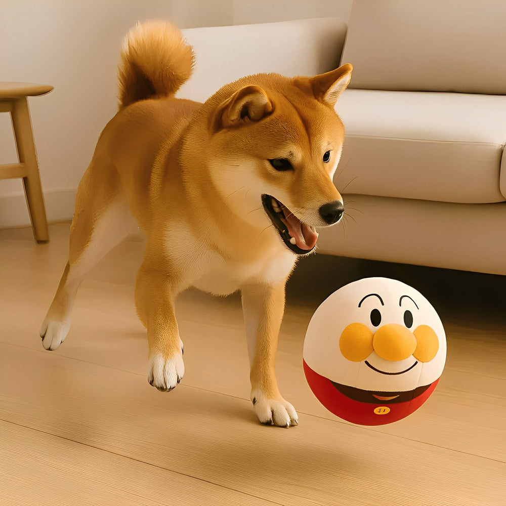 Interactive Dog Toy - Bouncing Play Ball, Prevents Destructive Habits 2
