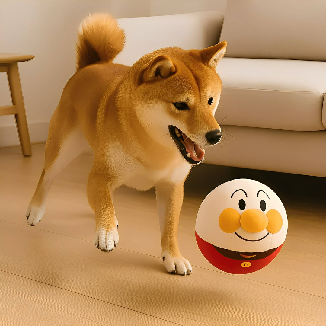 Interactive Dog Toy - Bouncing Play Ball, Prevents Destructive Habits 2
