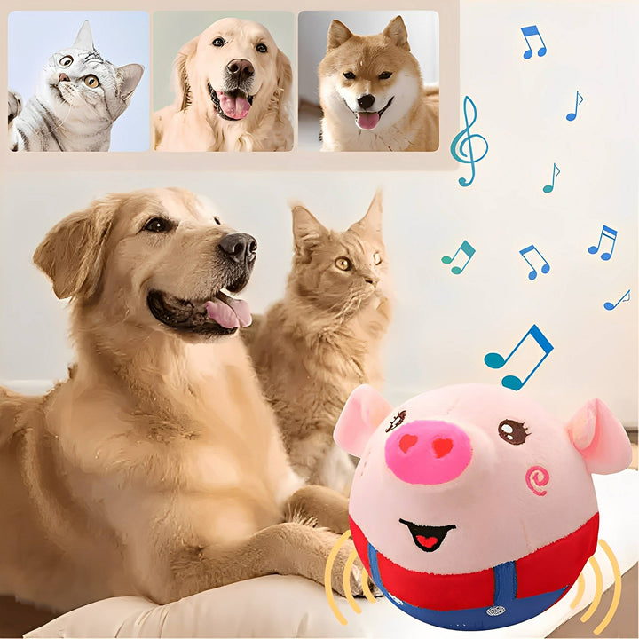 Interactive Dog Toy - Bouncing Play Ball, Prevents Destructive Habits 4