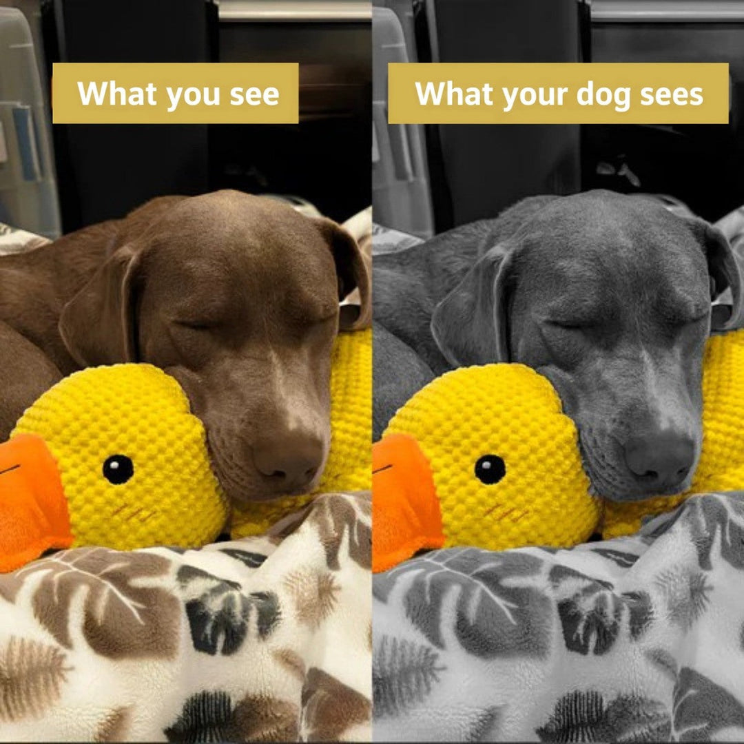 Calming Plush Duck Dog Toy with Soft Quack Sound, Set of 2 6