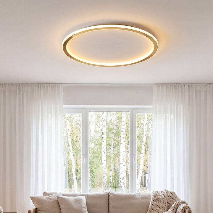 Gold Round LED Ceiling Light with Remote Dimmer 3