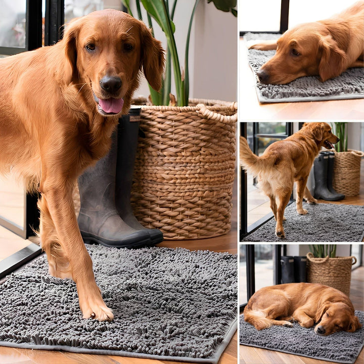 Absorbent Non-Slip Dog Door Mat for Muddy Paws 5