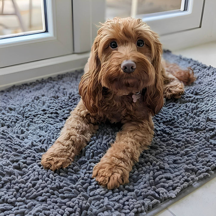 Absorbent Non-Slip Dog Door Mat for Muddy Paws 2