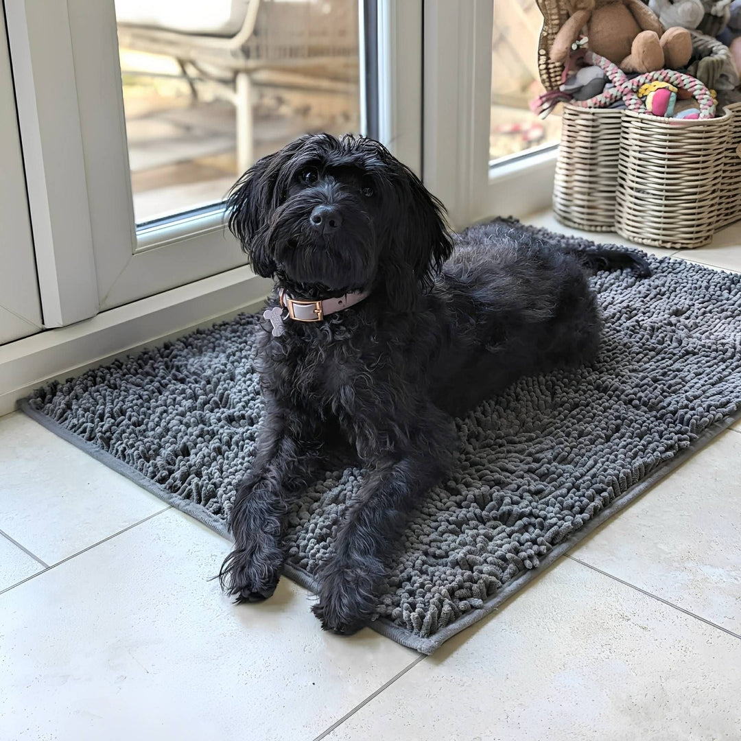 Absorbent Non-Slip Dog Door Mat for Muddy Paws 3