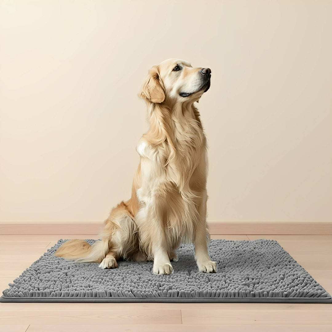 Absorbent Non-Slip Dog Door Mat for Muddy Paws 1
