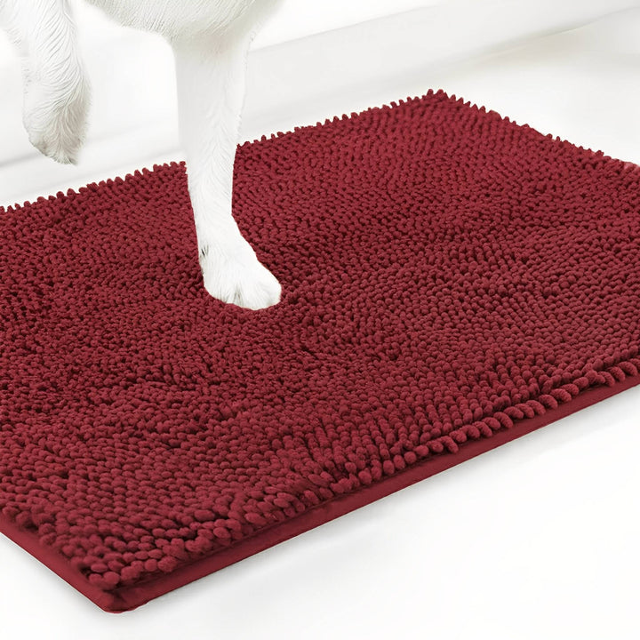 Absorbent Non-Slip Dog Door Mat for Muddy Paws 14