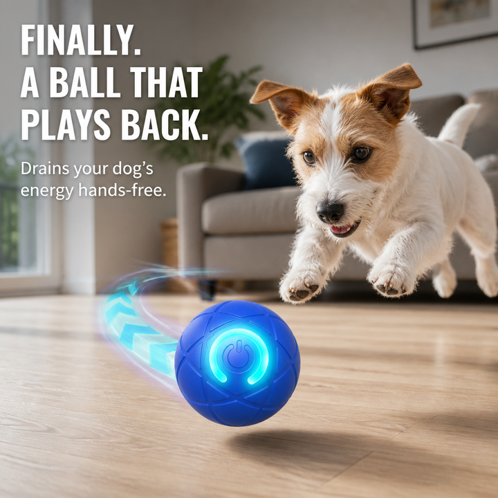 Self-Rolling Interactive Dog Ball with LED Glow, 3 Play Modes, Chew-Resistant 1