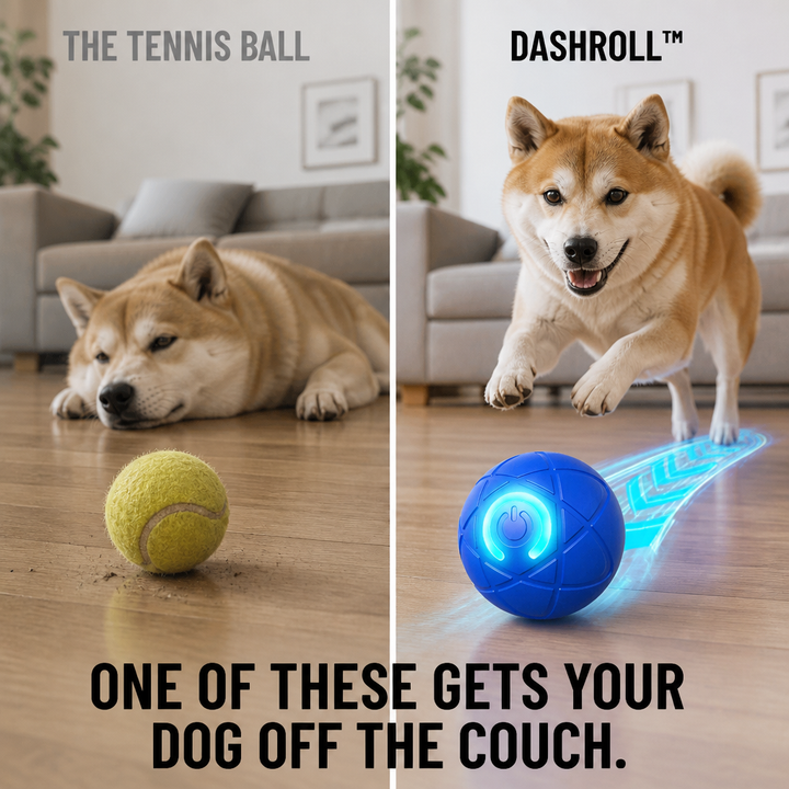 Self-Rolling Interactive Dog Ball with LED Glow, 3 Play Modes, Chew-Resistant 6