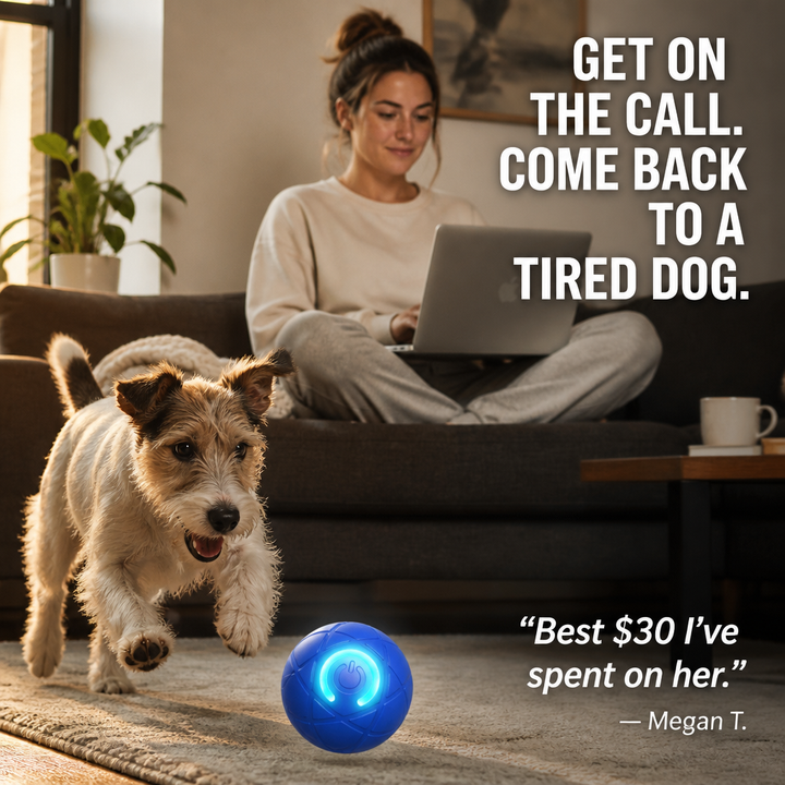 Self-Rolling Interactive Dog Ball with LED Glow, 3 Play Modes, Chew-Resistant 7