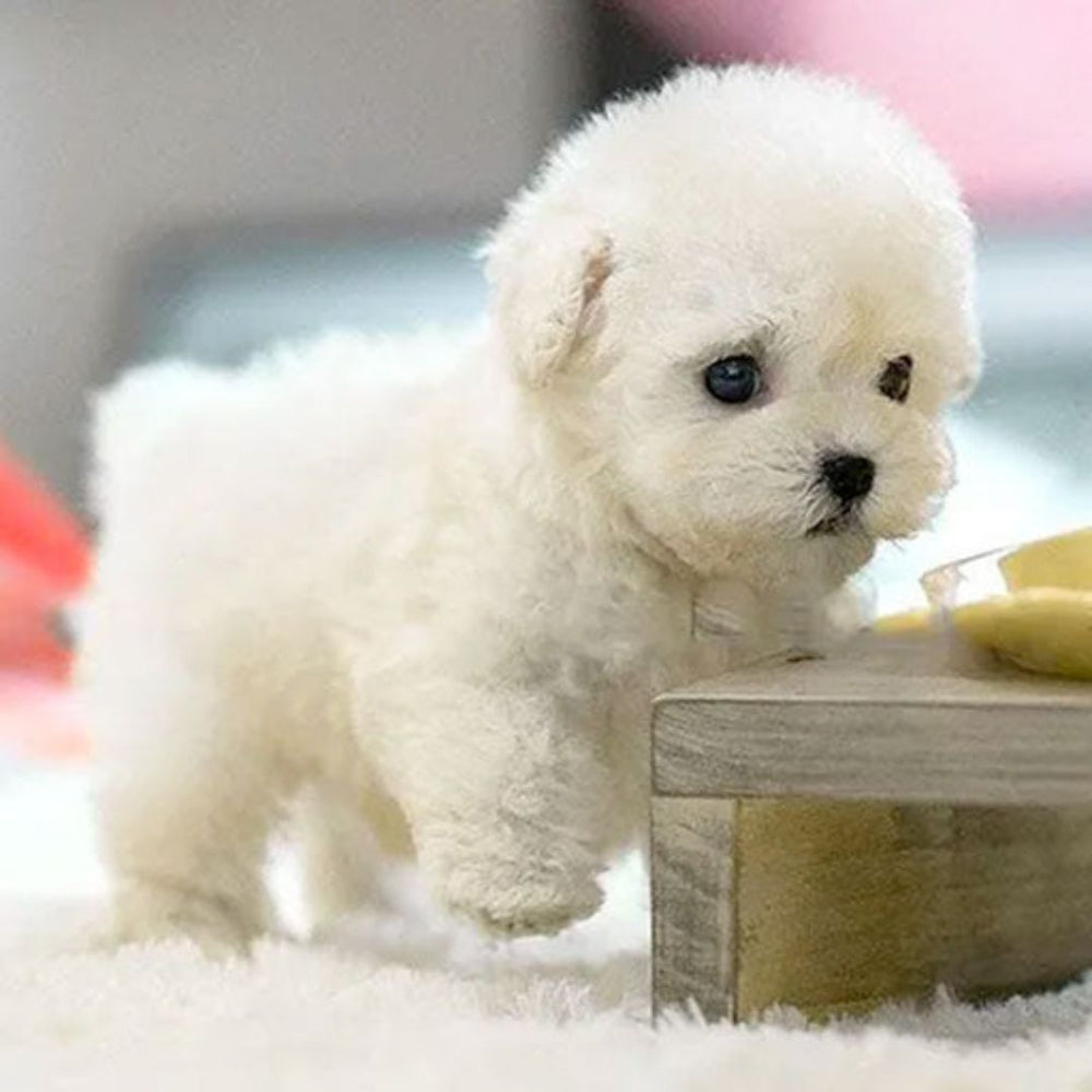 Kids' Interactive Robot Puppy for Lifelike Companionship 2