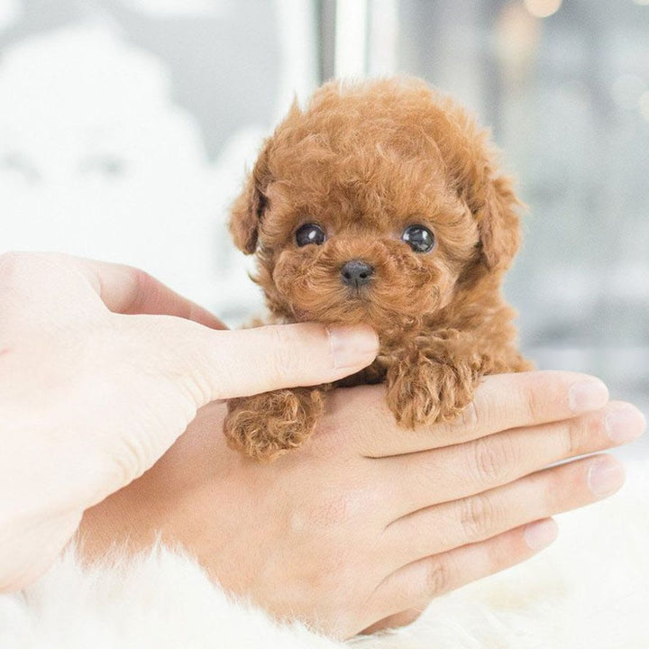 Kids' Interactive Robot Puppy for Lifelike Companionship 3
