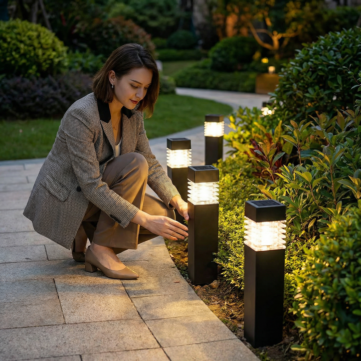 Solar LED Garden Stake Lights for Pathways 4