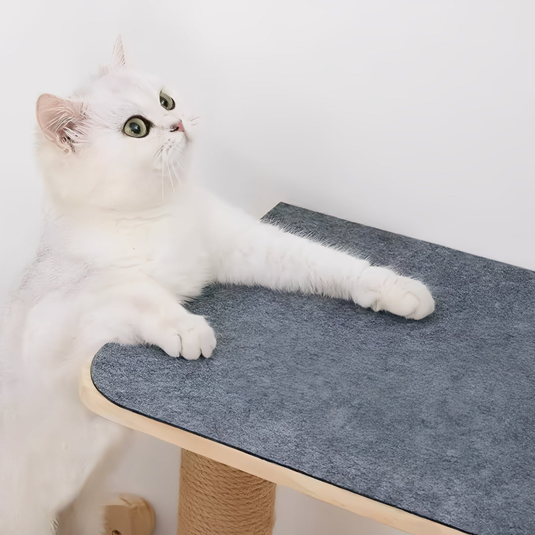 Scratch Mat - Self-Adhesive Cat Scratch Pad Furniture Protector 4