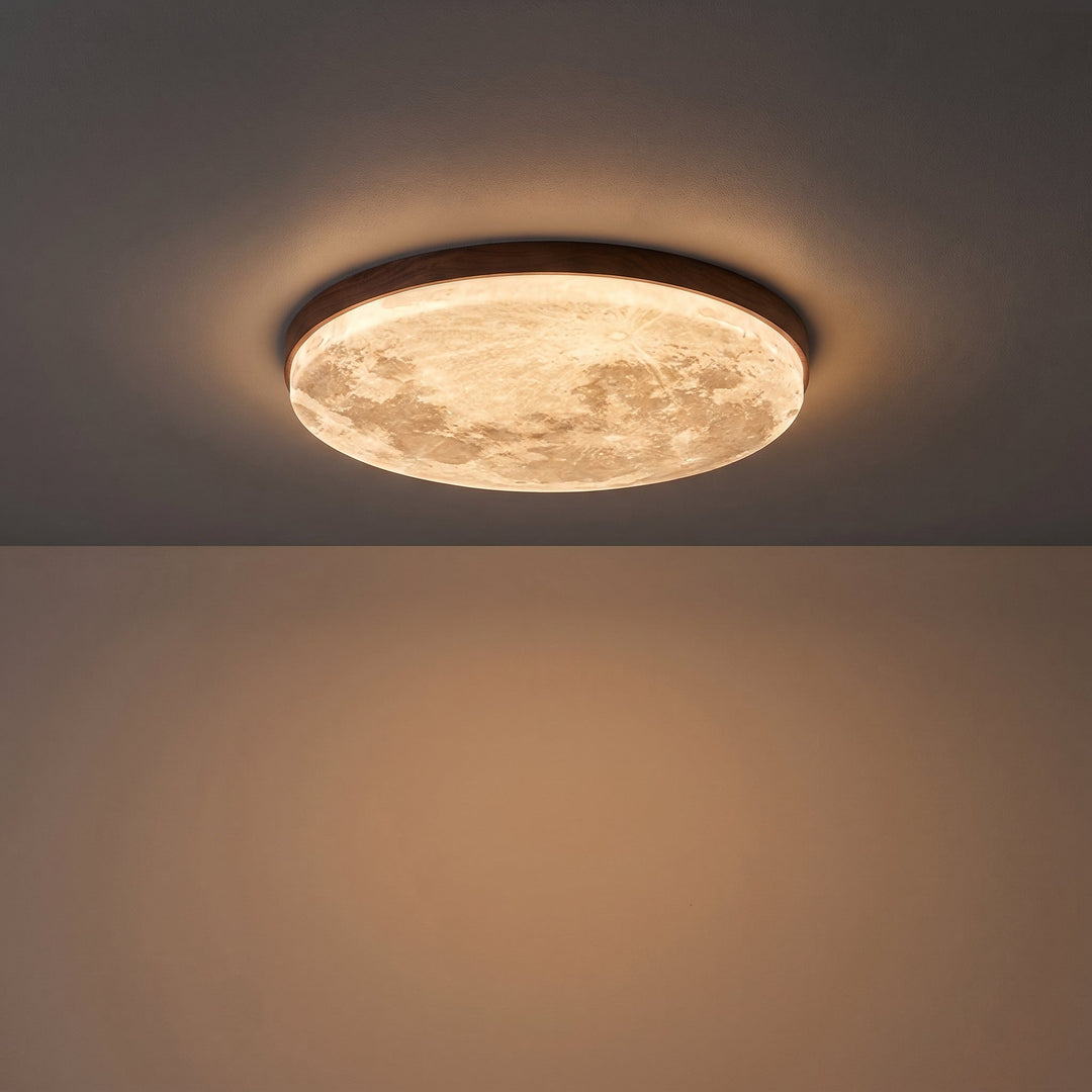 Round Moon Disc LED Ceiling Light, Dimmable, Flush or Hanging Mount 5