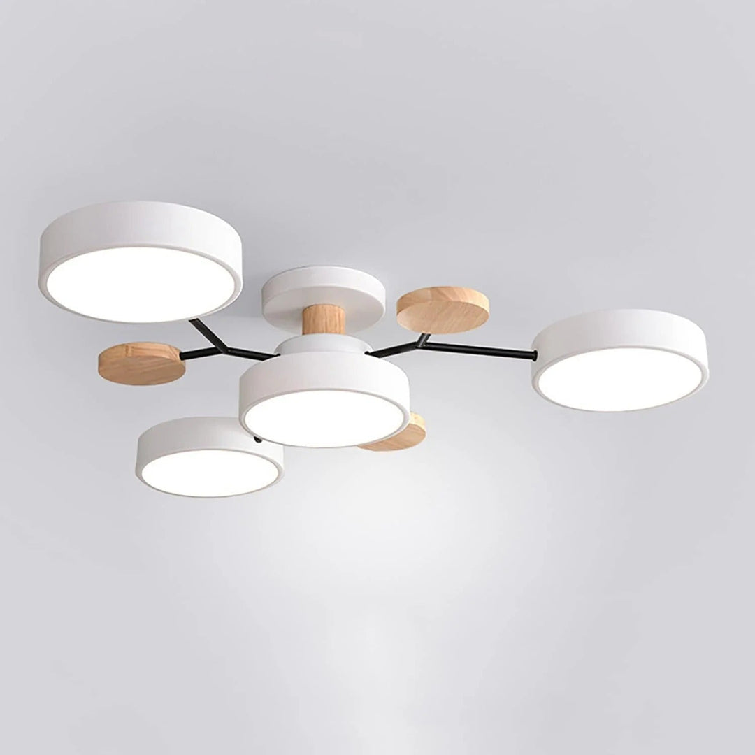 Modern LED Ceiling Light Chandelier for Living Room 14