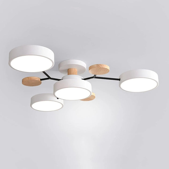 Modern LED Ceiling Light Chandelier for Living Room 14