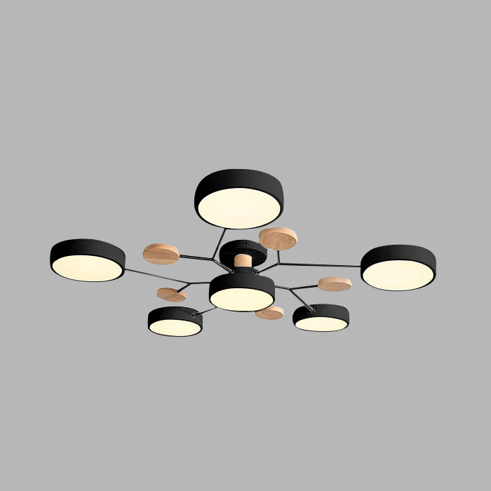 Modern LED Ceiling Light Chandelier for Living Room 31