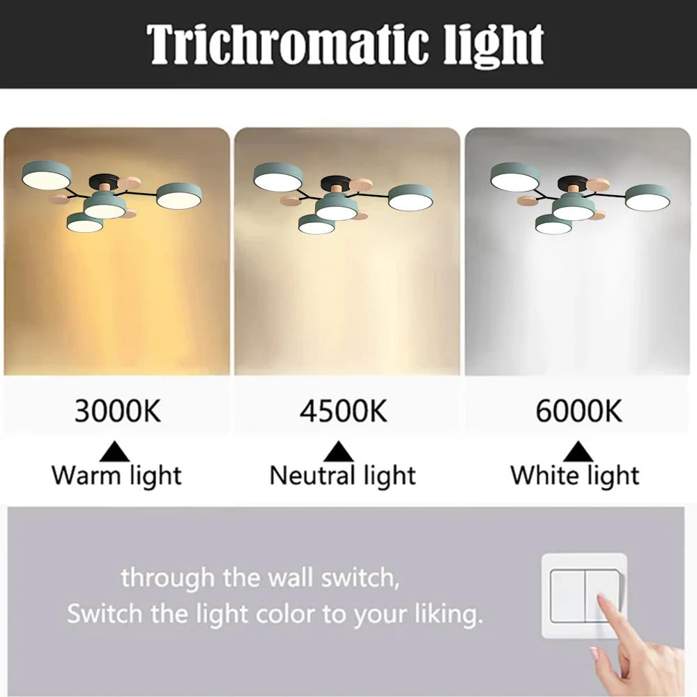 Modern LED Ceiling Light Chandelier for Living Room 5