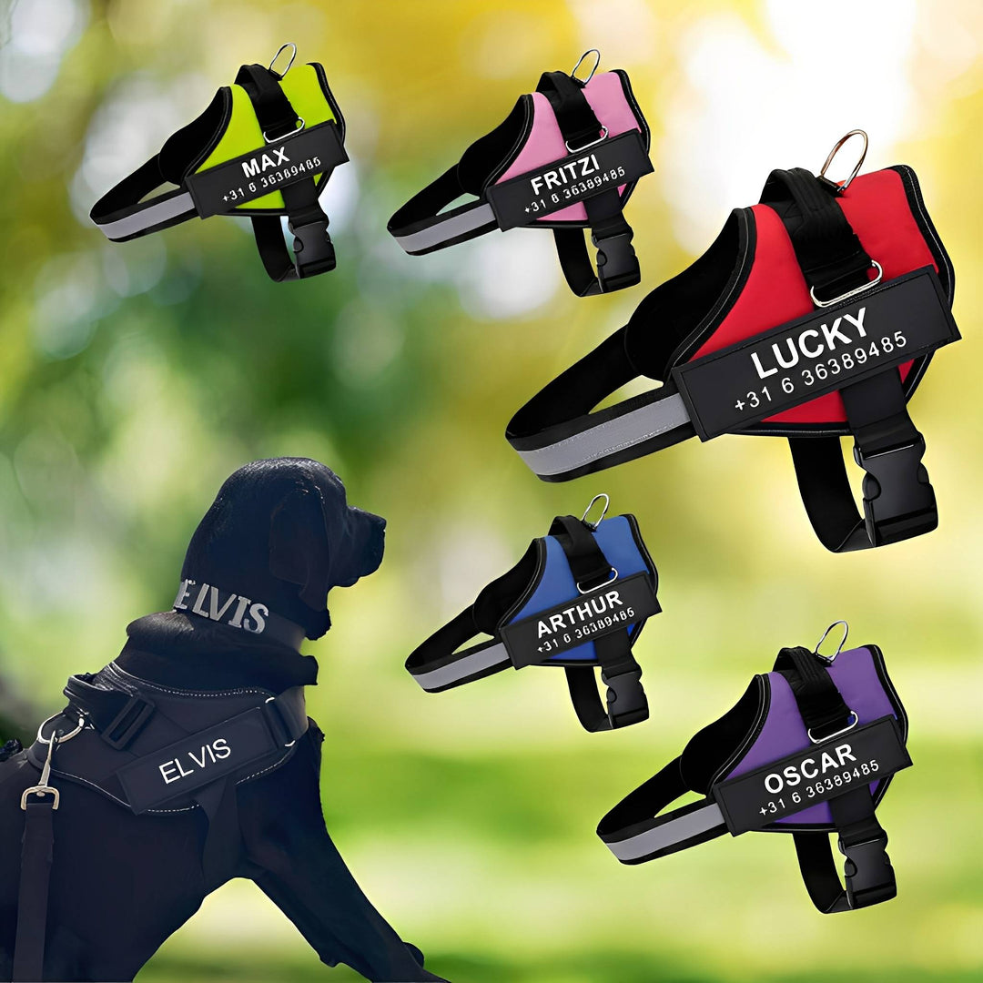 Personalized Dog Harness - Reflective & Supportive Design 1