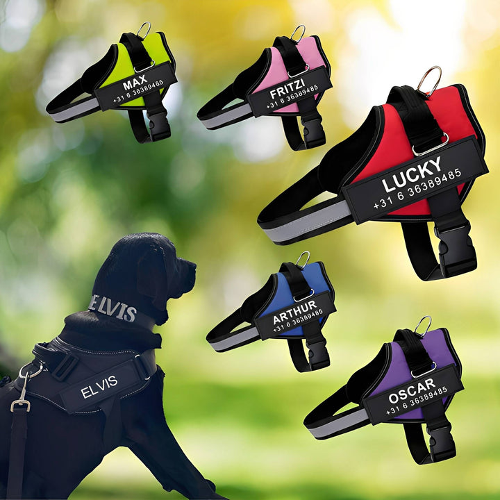 Personalized Dog Harness - Reflective & Supportive Design 1