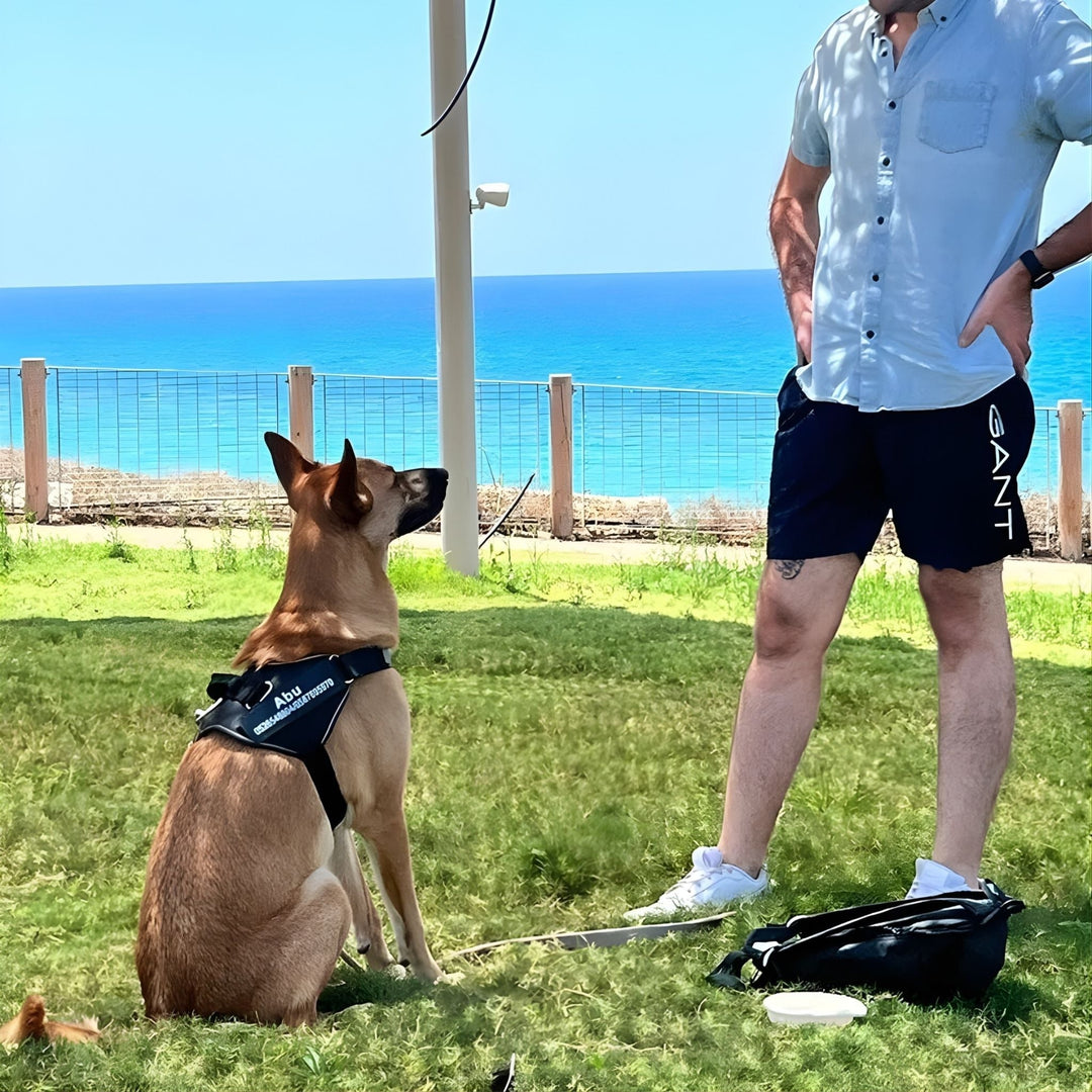 Personalized Dog Harness - Reflective & Supportive Design 9