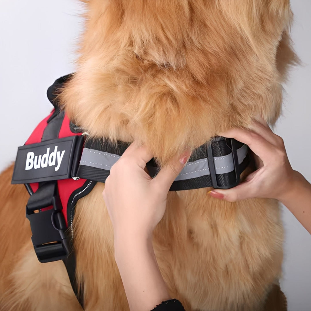 Personalized Dog Harness - Reflective & Supportive Design 8