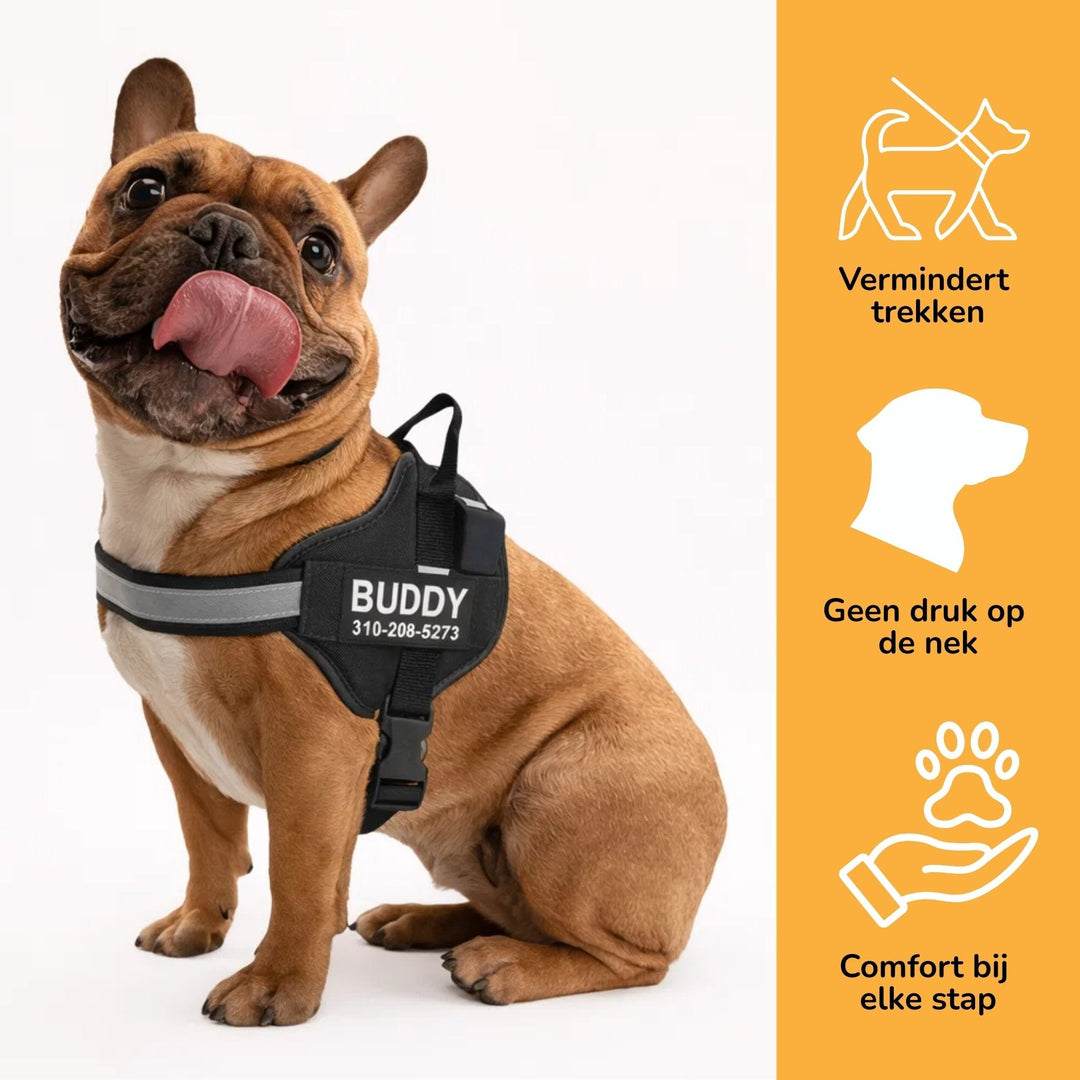Personalized Dog Harness - Reflective & Supportive Design 4