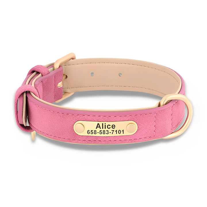 Engraved Leather Dog Collar with Personalized Nameplate 12