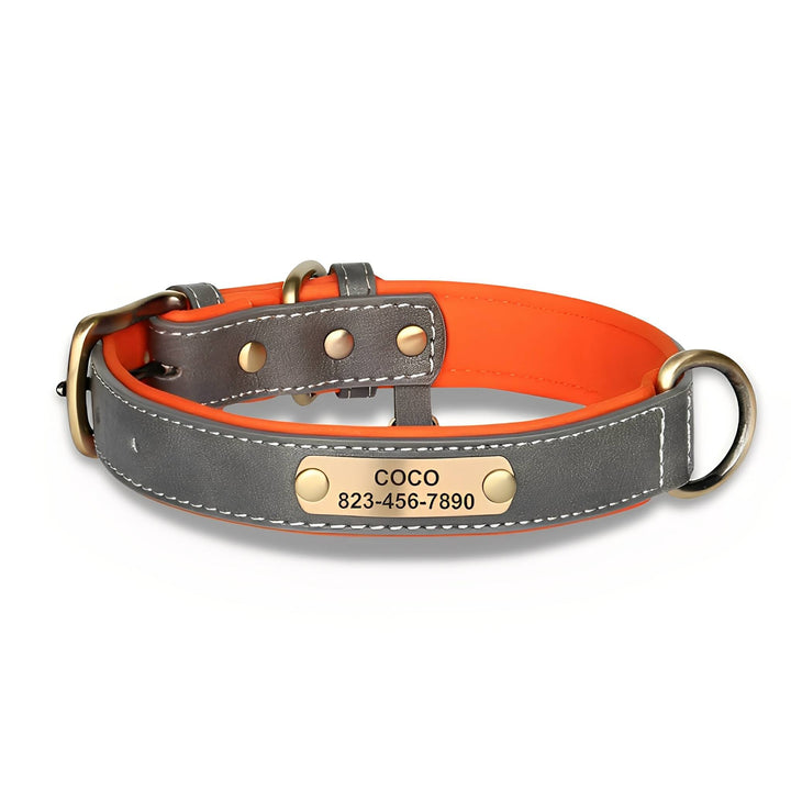 Engraved Leather Dog Collar with Personalized Nameplate 11