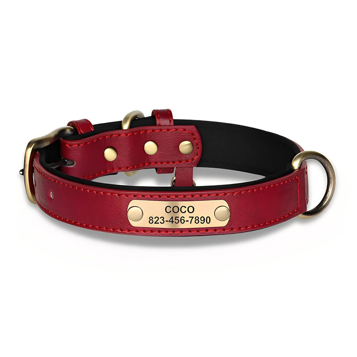 Engraved Leather Dog Collar with Personalized Nameplate 8
