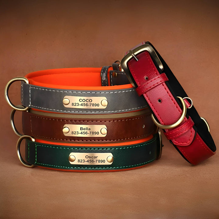 Engraved Leather Dog Collar with Personalized Nameplate 2