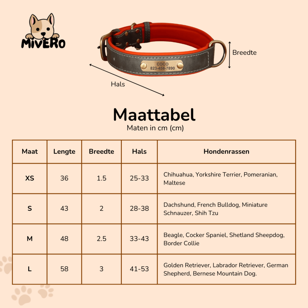 Engraved Leather Dog Collar with Personalized Nameplate 6