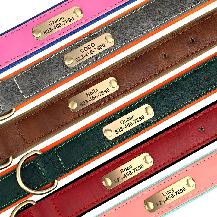 Engraved Leather Dog Collar with Personalized Nameplate 5