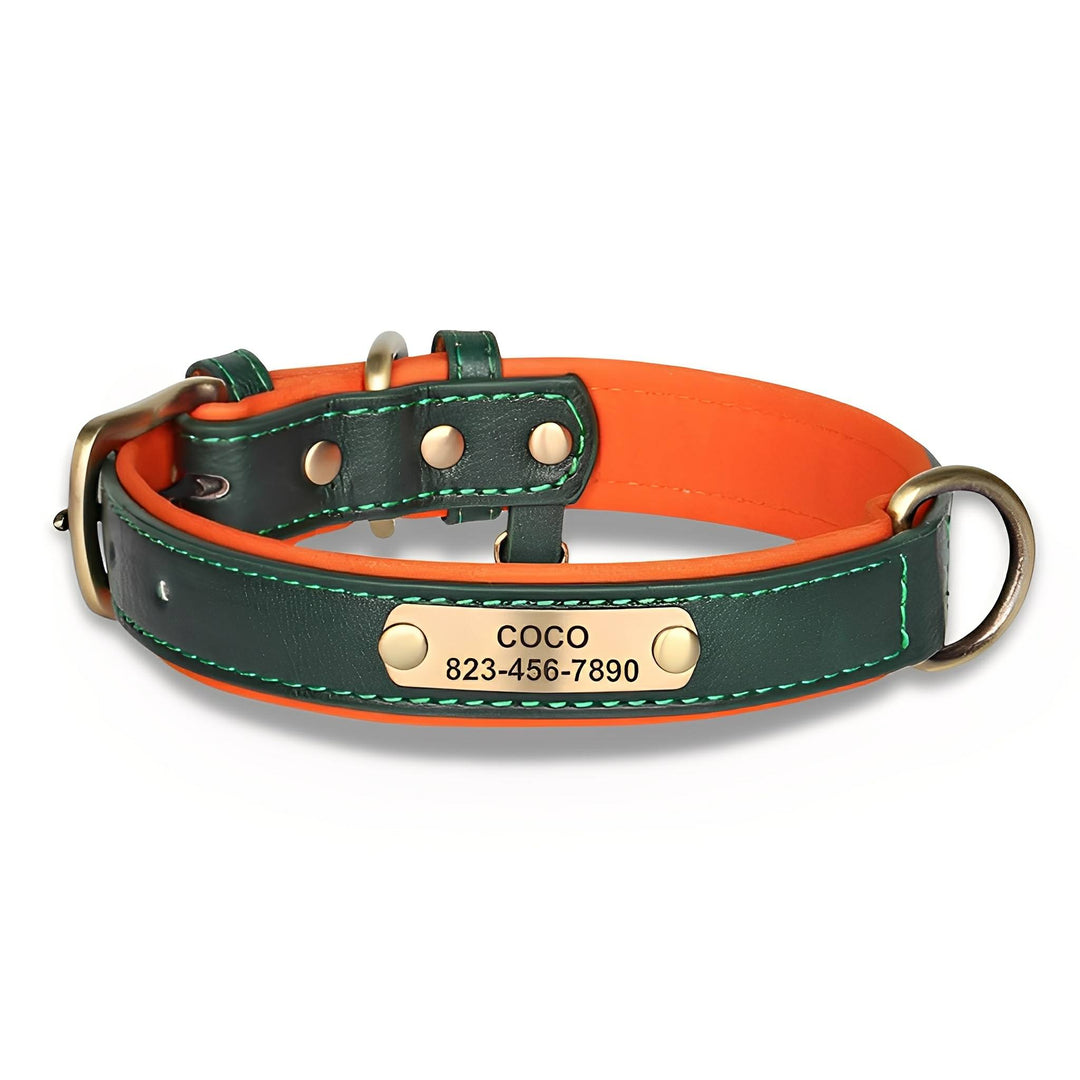 Engraved Leather Dog Collar with Personalized Nameplate 10