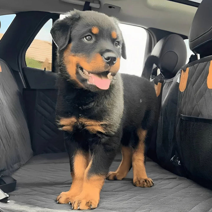 Waterproof Dog Back Seat Extender with Rigid Base and Memory Foam Bed 10