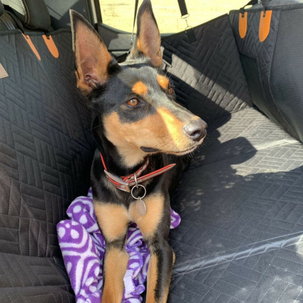 Waterproof Dog Back Seat Extender with Rigid Base and Memory Foam Bed 2
