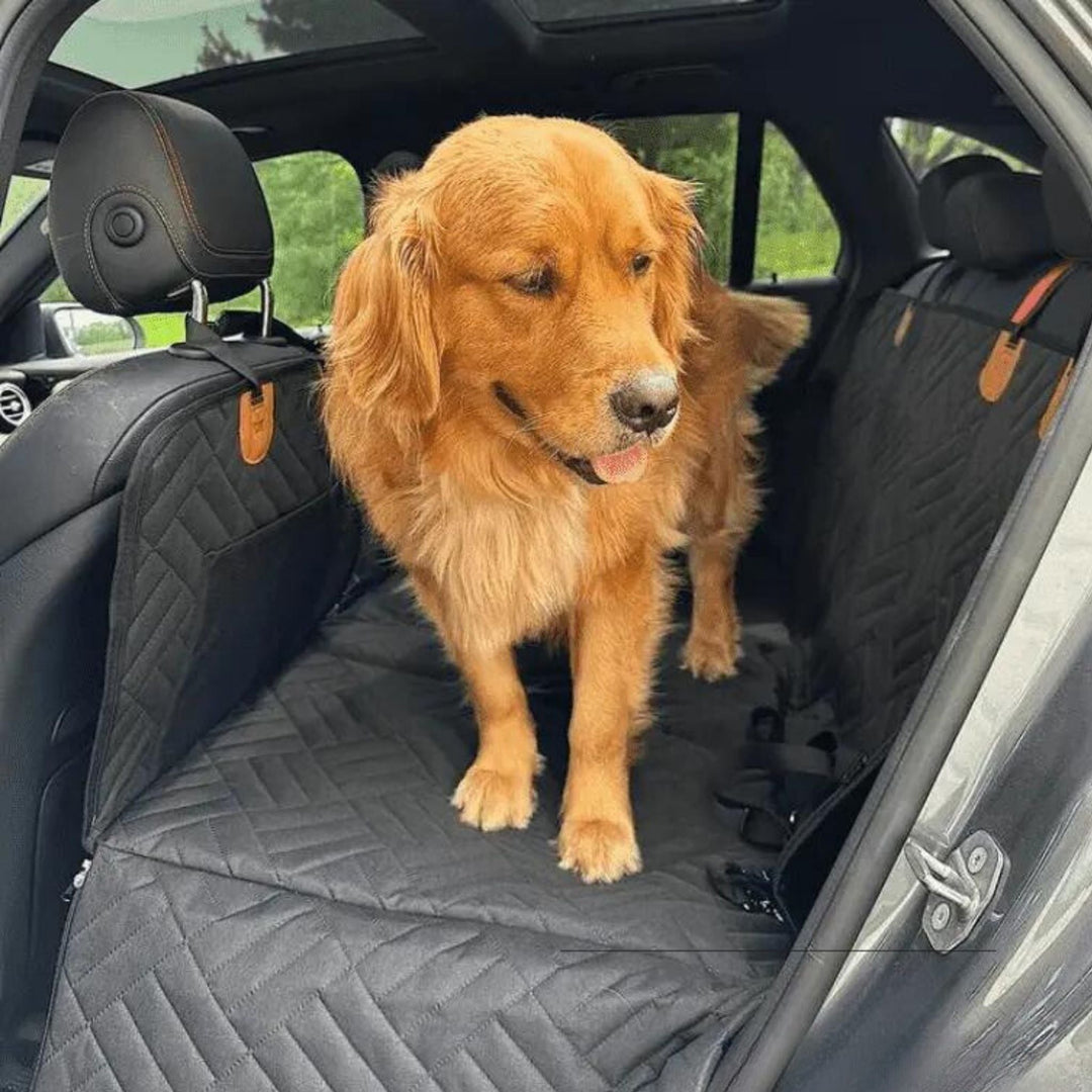 Waterproof Dog Back Seat Extender with Rigid Base and Memory Foam Bed 5