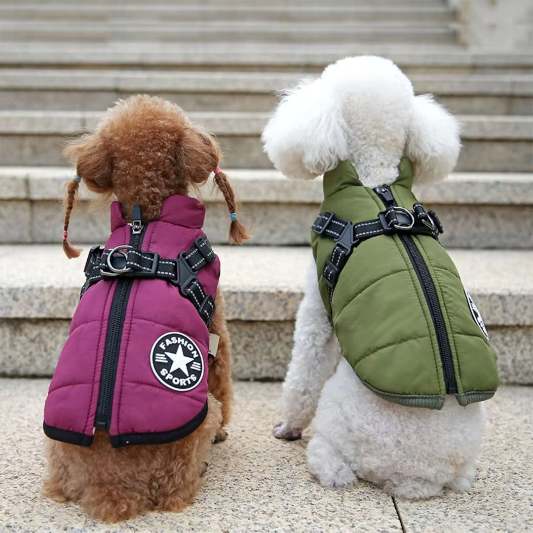 Winter Dog Coat with Built-In Harness, Padded and Lined 9